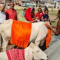दरभंगा गोशाला में गौ पूजन कार्यक्रम हुआ आयोजित।