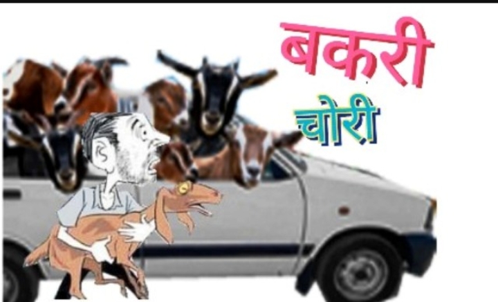 हायाघाट थाना क्षेत्र में खौफ में पशु पालक, दर्जनों बकरियों की चोरी।